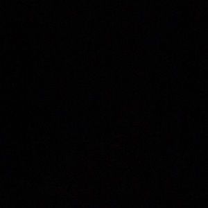 Meet your Posher, Shania